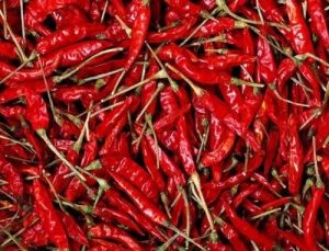 Natural Guntur Red Chilli Dried