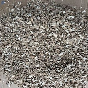 Hand Cut Conventional Dry Ginger Slice, Packaging Type : Bag