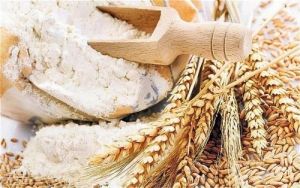 Fresh Premium Wheat Flour for Home & Bakery, Shelf Life : Long