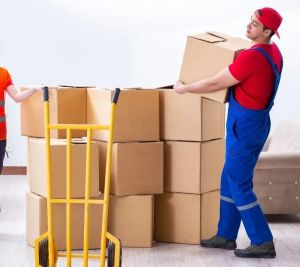 Home Relocation Service