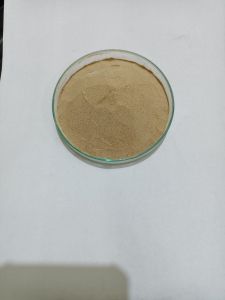 Horse Chestnut Extract Horse Chestnut Extract