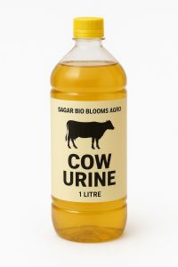 1 Litre Cow Urine