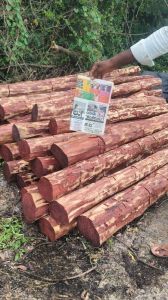 Inkjet Printers, Color : Red