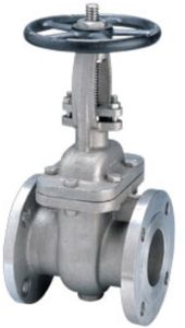 Stainless Steel 316 Gate Valve