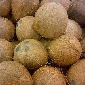 Coconut Husk, Color : Natural Brown