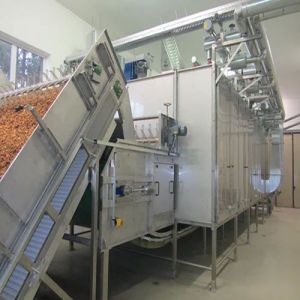 Semi Automatic Electric Ginger Processing Plant, Color : Grey