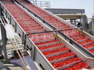 Semi Automatic Tomato Processing Plant, Power Source : Electric