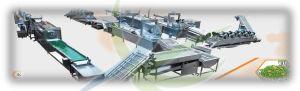 Frozen Fruit & Vegetable Line Machine