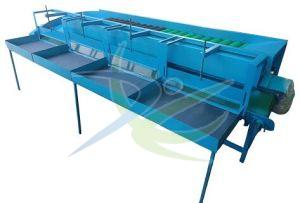 Fruit Grading Machine