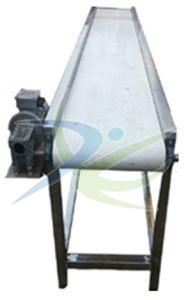 Inspection Conveyor System