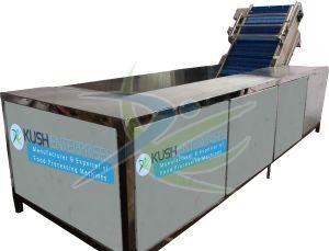 Leafy Vegetable Washer Machine