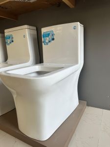One Piece Toilet