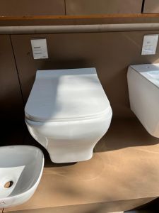 Wall Hung Toilet