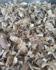 Groundnut Husk Shell