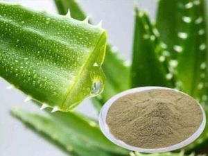 Green Aloe Vera Powder, Grade Standard : Cosmetic Grade