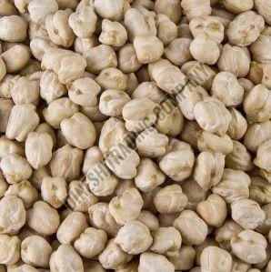 Organic White Chickpeas 10-12mm, 4-6mm, 7-9mm, Grade : Food Grade