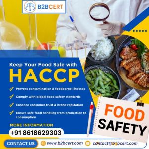 Haccp Consultant Services