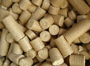 Biomass Briquettes