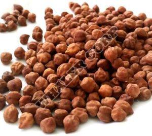 Indian Chickpeas