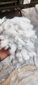 Plain White Organic Cotton.