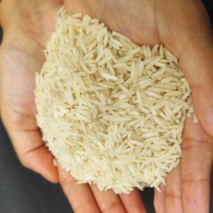Creamy White Short Grain Rice, Packaging Size : 25Kg, 50Kg