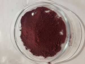 Beetroot Powder, Packaging Size : 50g