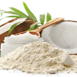 Spray Dried Coconut Powder, Color : White For Cooking