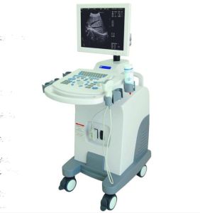 Full Digital Trolley Ultrasound Scanner Machine  SY-A019