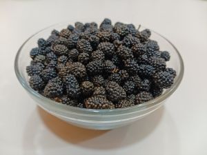 Organic Black Natural Gol Pippal for Spices