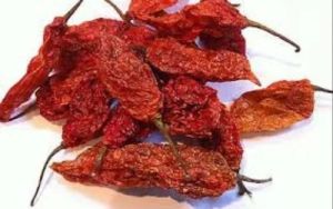 Dried Bhut Jolokia Chilli