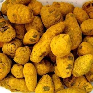 Hybrid Turmeric Bulb for Cooking, Spices