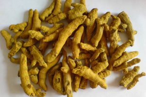 Natural Lakadong Turmeric Fingers
