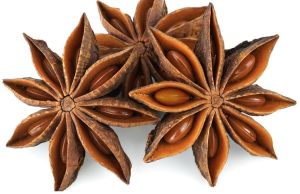 Crunchy Natural Star Anise, Packaging Type : Plastic Bag