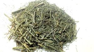 Swertia Chirata for Medicinal, Pharma