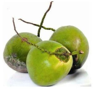 A Grade Solid Green Tender Coconut