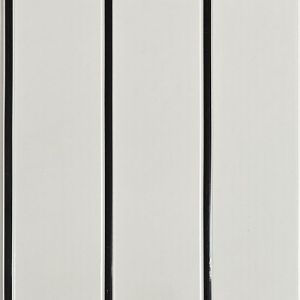 FSD-1053 Black Line PVC Ceiling Panel