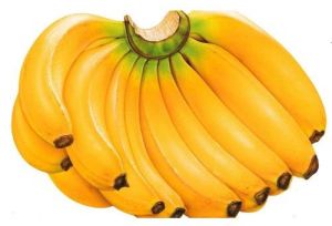 Natural Fresh Yellow Banana, Packaging Type : Loose