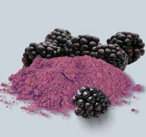 Spray Dried Blackberry Powder
