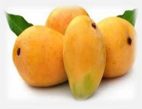 Alphonso Mango Pulp-AMP