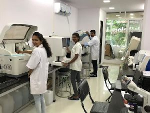 Blood Testing Service