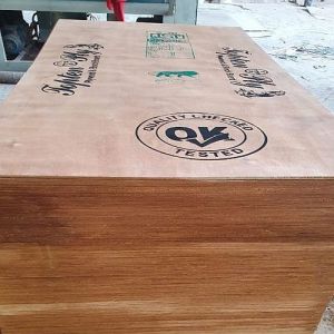 MR Plywood 8*4, 7*4, 6*4 Etc., Brand Name : Copper