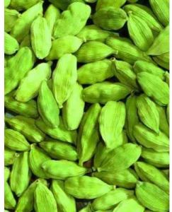 Cardamom