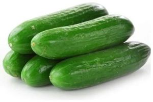 Fresh Raw Cucumber