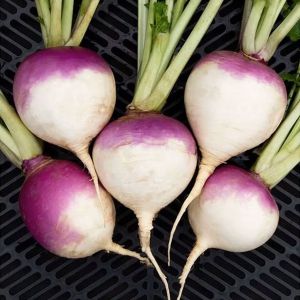 Fresh Round Turnip