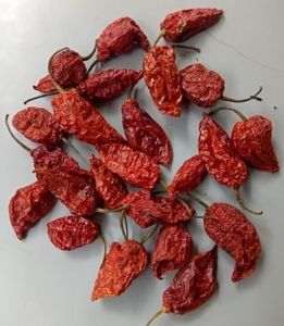 Bhut Jolokia Dry Red Chilli, Packaging Type : Packet for Culinary