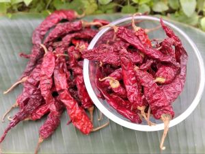 Byadagi Dry Red Chilli, Packaging Type : Packet for Culinary