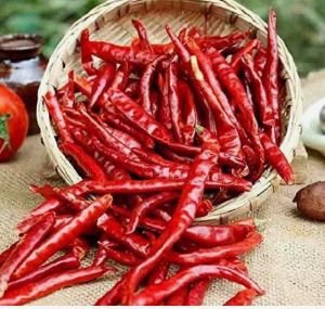 Dried Red Chili