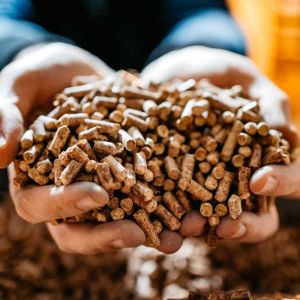 Eco Certified Wood Burning Pellet