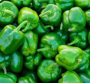 Fresh Green Capsicum, Speciality : Hygienic, Healthy for Cooking