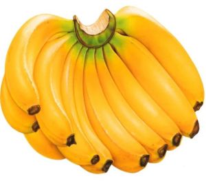 Fresh Yellow Banana, Packaging Type : Loose for Direct Consumption